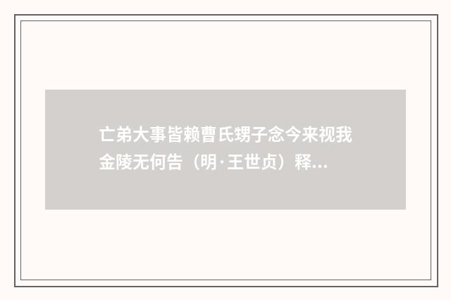 亡弟大事皆赖曹氏甥子念今来视我金陵无何告（明·王世贞）释义及解释