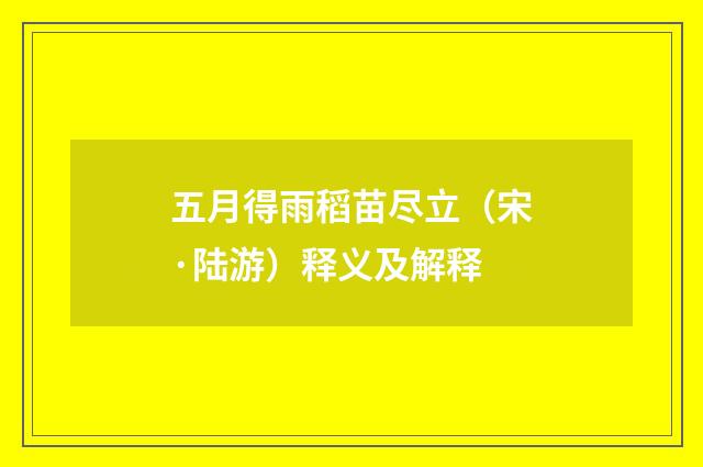 五月得雨稻苗尽立（宋·陆游）释义及解释