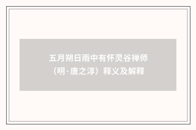 五月朔日雨中有怀灵谷禅师（明·唐之淳）释义及解释