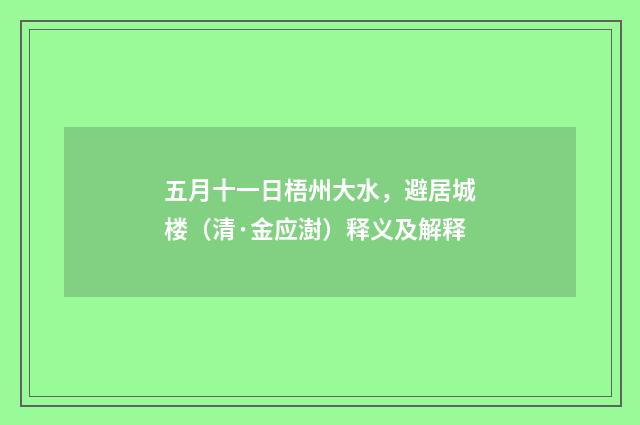 五月十一日梧州大水,避居城楼(清·金应澍)释义及解释