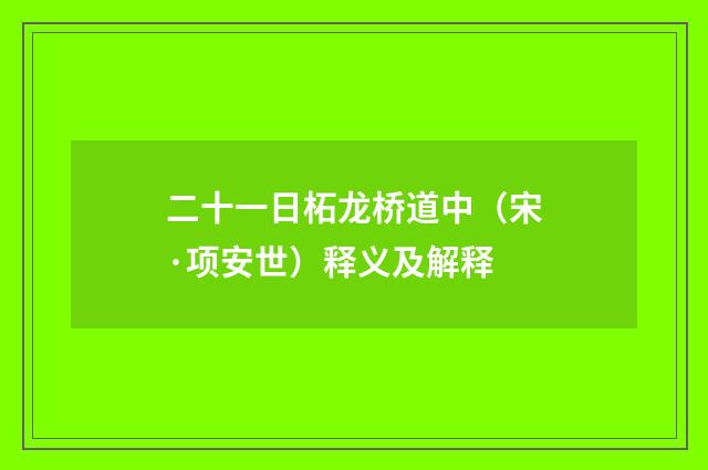 二十一日柘龙桥道中（宋·项安世）释义及解释