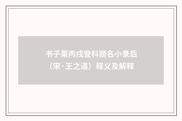 书子莱丙戌登科题名小录后（宋·王之道）释义及解释
