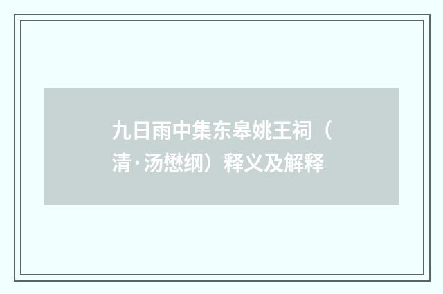 九日雨中集东皋姚王祠（清·汤懋纲）释义及解释