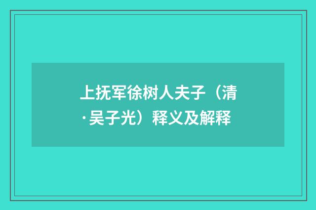 上抚军徐树人夫子（清·吴子光）释义及解释