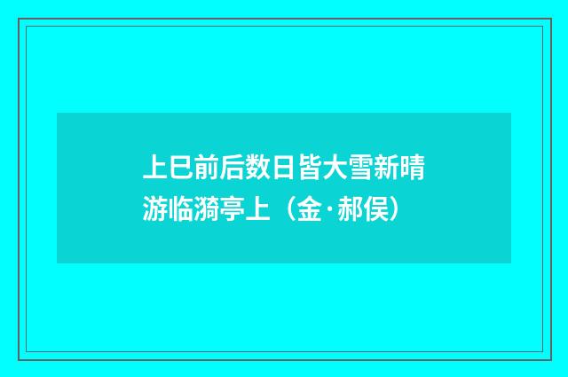 上巳前后数日皆大雪新晴游临漪亭上（金·郝俣）释义及解释