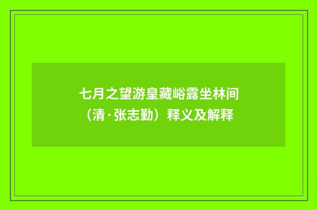七月之望游皇藏峪露坐林间（清·张志勤）释义及解释