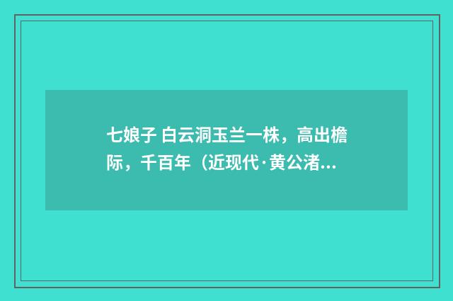 七娘子 白云洞玉兰一株，高出檐际，千百年（近现代·黄公渚）释义及解释