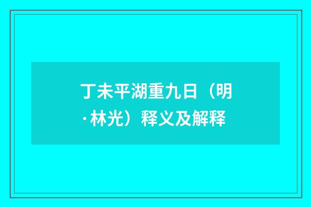 丁未平湖重九日（明·林光）释义及解释