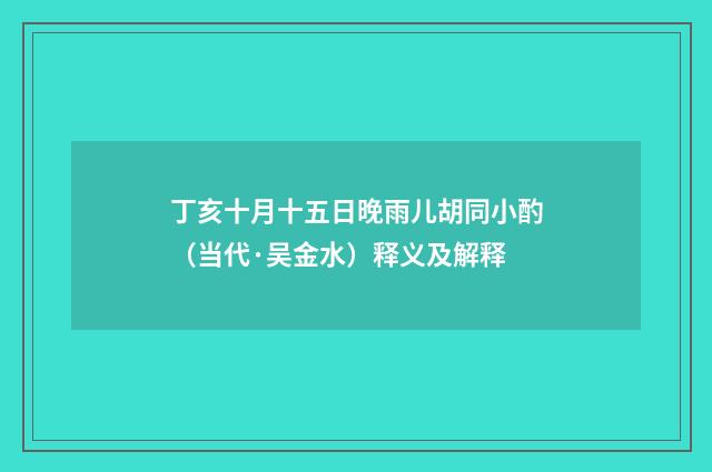 丁亥十月十五日晚雨儿胡同小酌（当代·吴金水）释义及解释