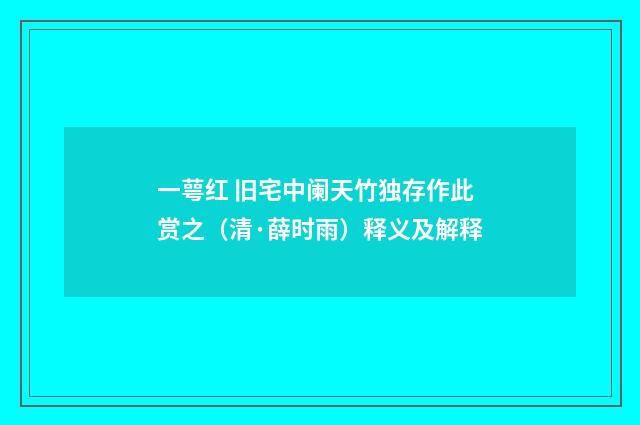 一萼红 旧宅中阑天竹独存作此赏之（清·薛时雨）释义及解释