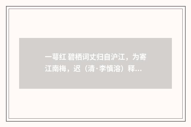 一萼红 碧栖词丈归自沪江，为寄江南梅，迟（清·李慎溶）释义及解释