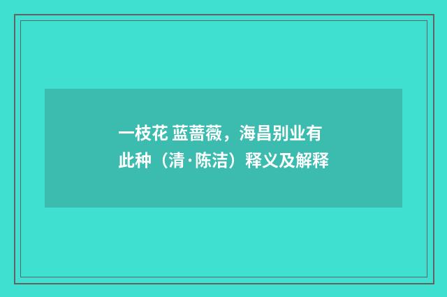一枝花 蓝蔷薇，海昌别业有此种（清·陈洁）释义及解释