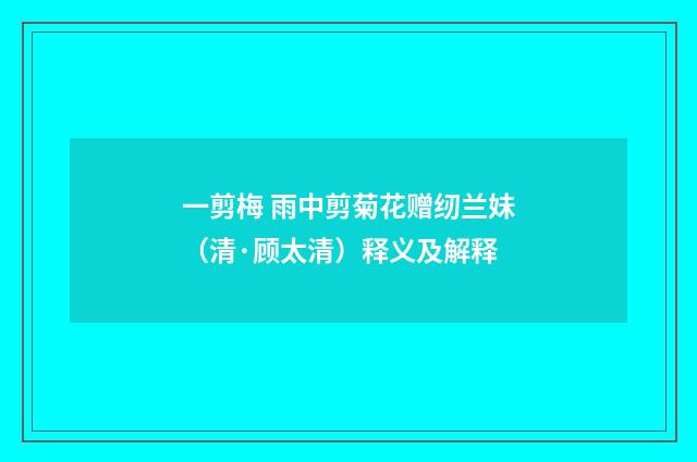 一剪梅 雨中剪菊花赠纫兰妹（清·顾太清）释义及解释
