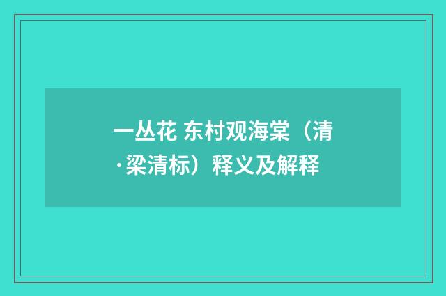 一丛花 东村观海棠（清·梁清标）释义及解释