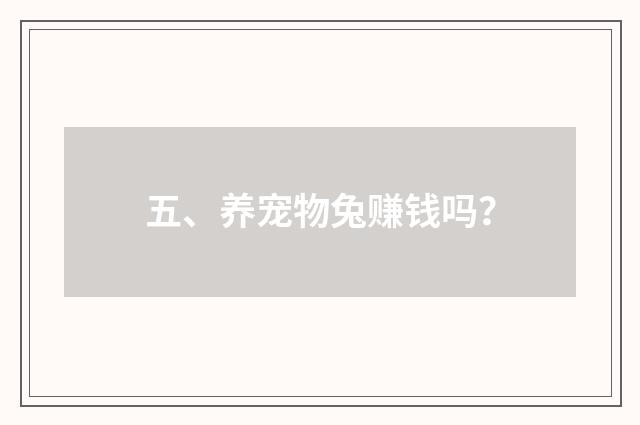 五、养宠物兔赚钱吗?