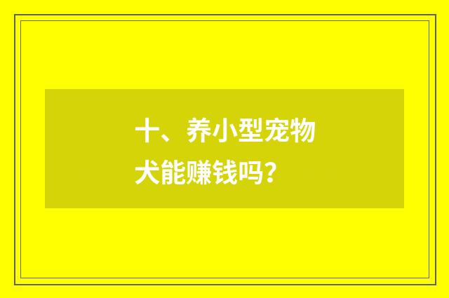 十、养小型宠物犬能赚钱吗?