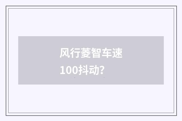 风行菱智车速100抖动？