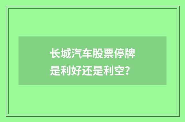 长城汽车股票停牌是利好还是利空？