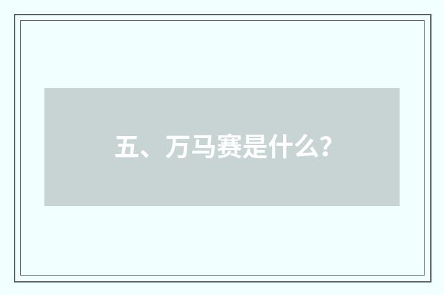 五、万马赛是什么？