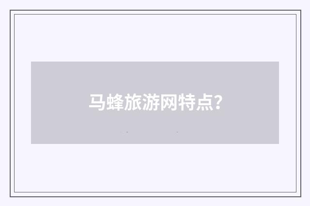 马蜂旅游网特点？