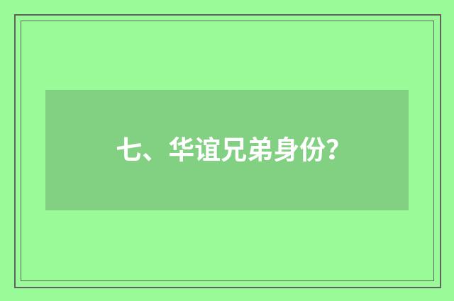 七、华谊兄弟身份?