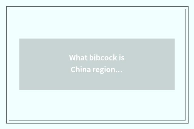 What bibcock is China region car?