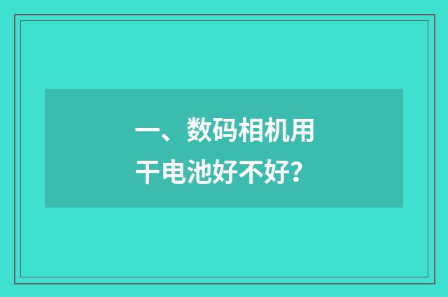 一、数码相机用干电池好不好?