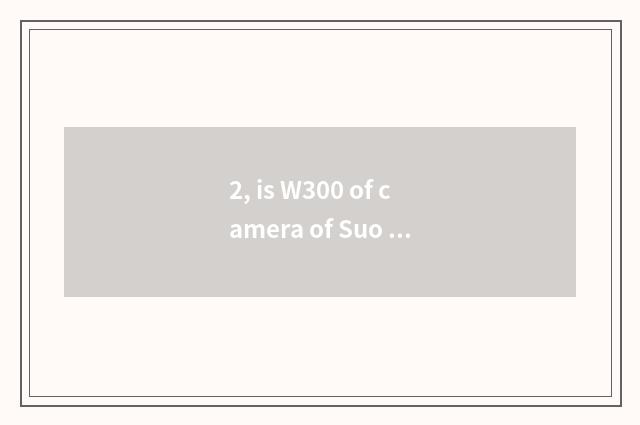 2, is W300 of camera of Suo Ni number good?