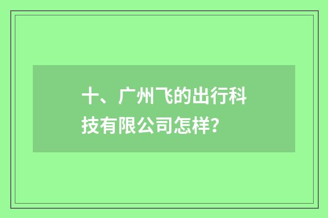 十、广州飞的出行科技有限公司怎样？