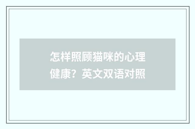 怎样照顾猫咪的心理健康？英文双语对照