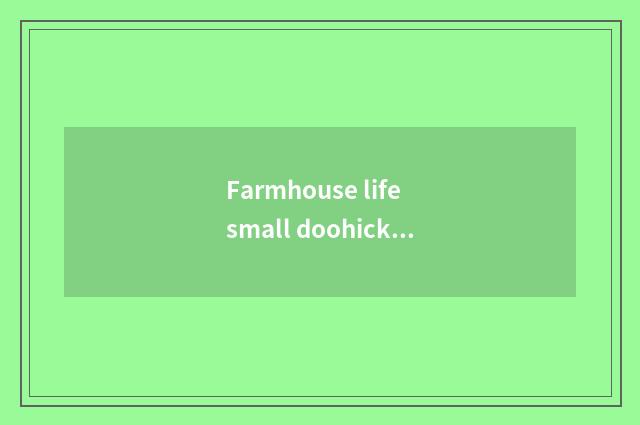 Farmhouse life small doohickey?