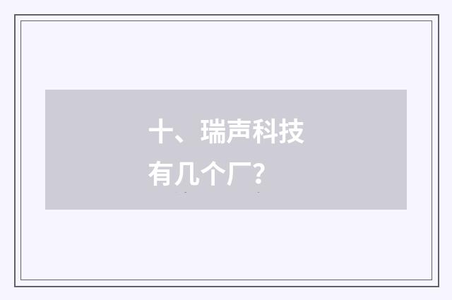 十、瑞声科技有几个厂？