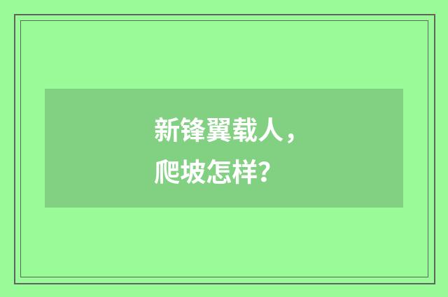 新锋翼载人，爬坡怎样？