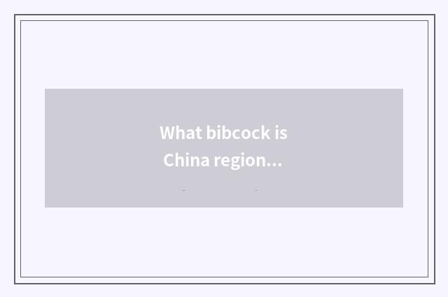 What bibcock is China region car?