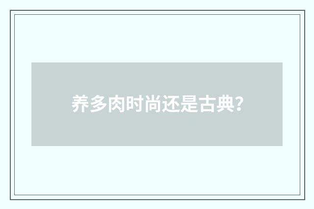 养多肉时尚还是古典?