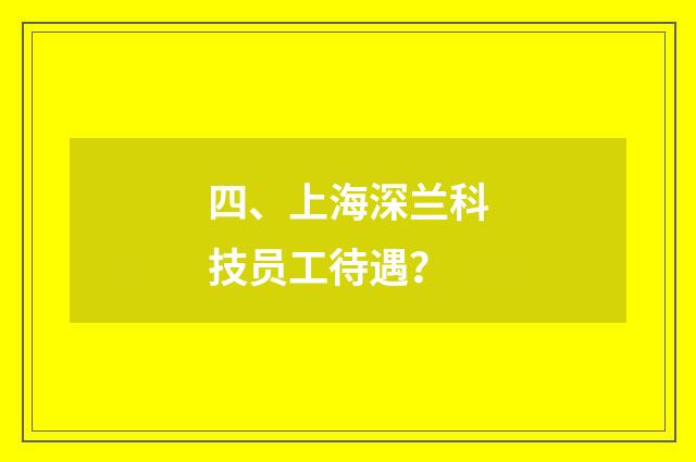 四、上海深兰科技员工待遇？