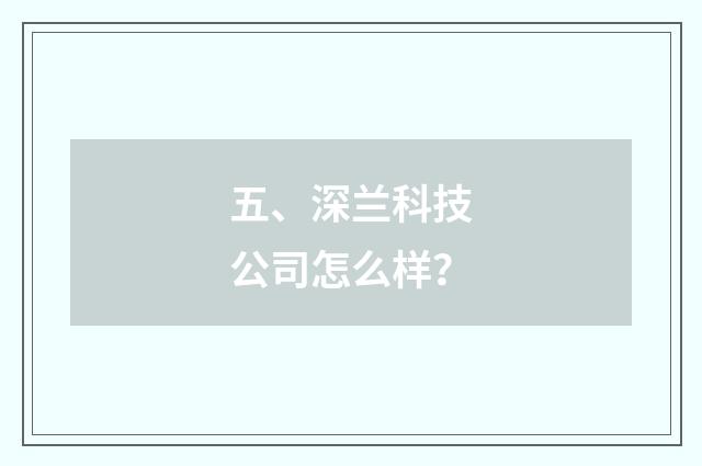 五、深兰科技公司怎么样？