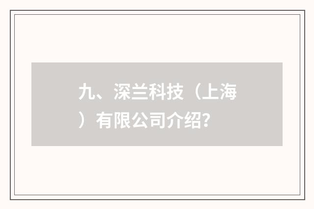 九、深兰科技（上海）有限公司介绍？