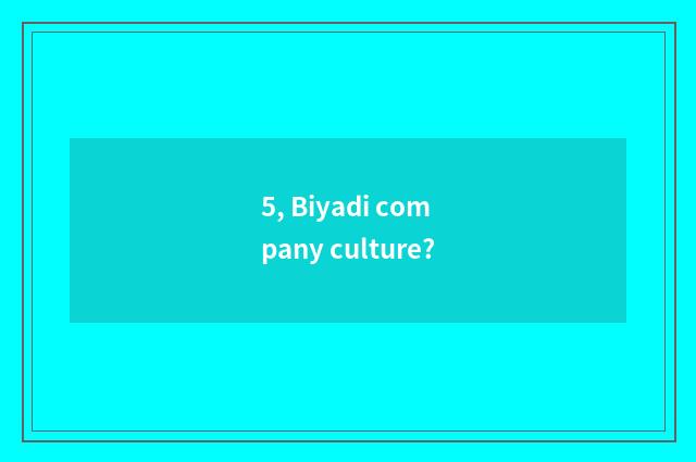 5, Biyadi company culture?