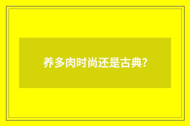 养多肉时尚还是古典?