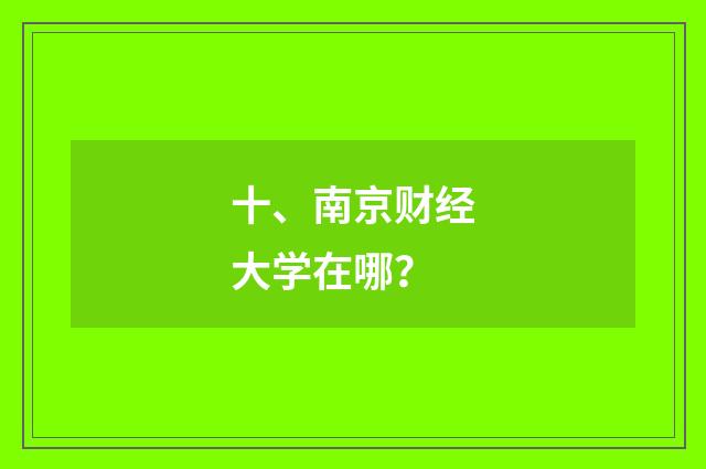 十、南京财经大学在哪?