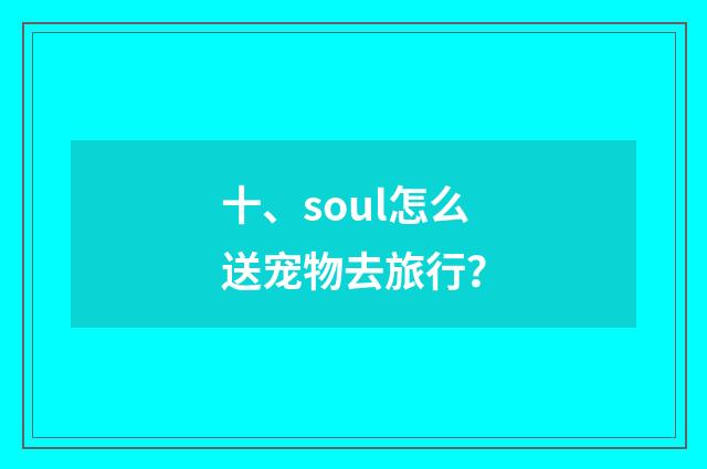 十、soul怎么送宠物去旅行?