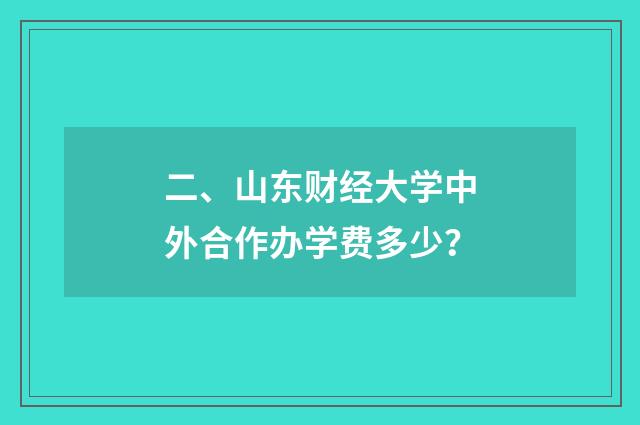 二、山东财经大学中外合作办学费多少？