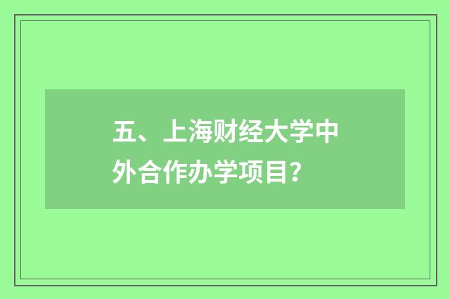 五、上海财经大学中外合作办学项目？