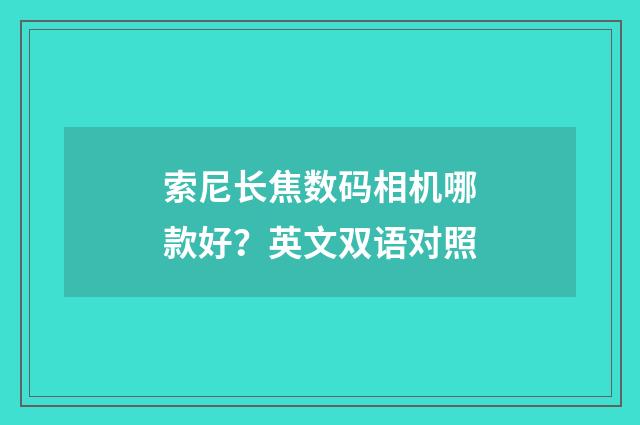 索尼长焦数码相机哪款好？英文双语对照