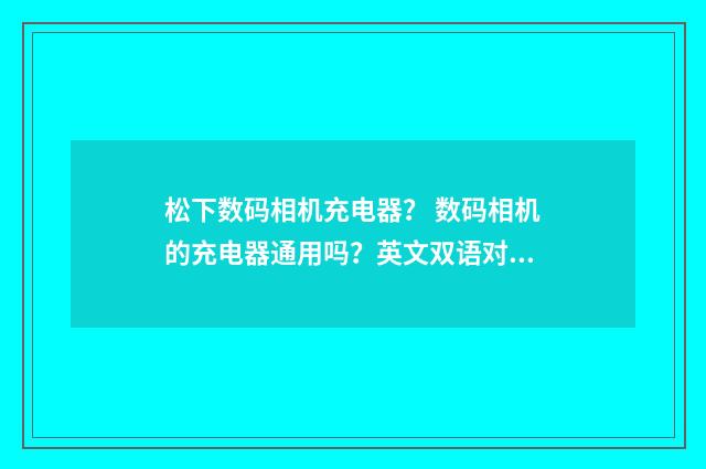 松下数码相机充电器？ 数码相机的充电器通用吗？英文双语对照