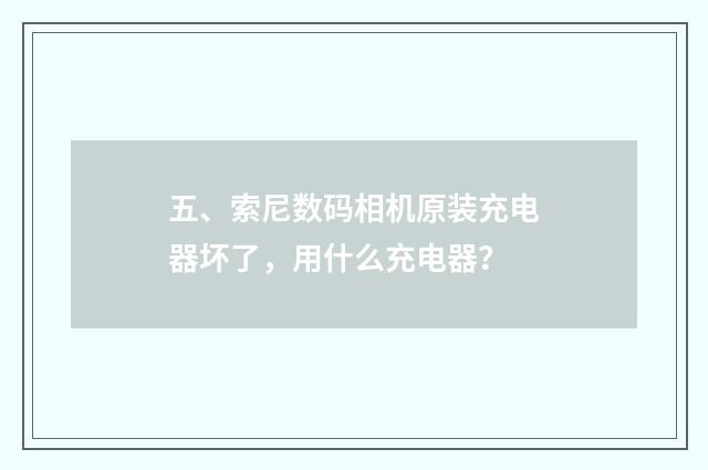 五、索尼数码相机原装充电器坏了，用什么充电器？
