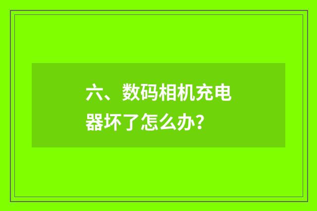 六、数码相机充电器坏了怎么办？
