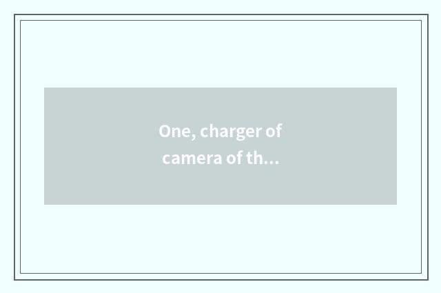 One, charger of camera of the number below the pine?