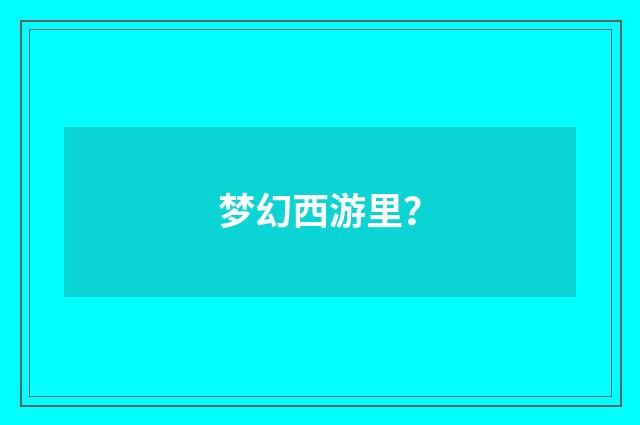 梦幻西游里？